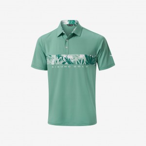 Mizuno MIZUNO CALI STRIPE POLO Verdi | IT_MZN41299