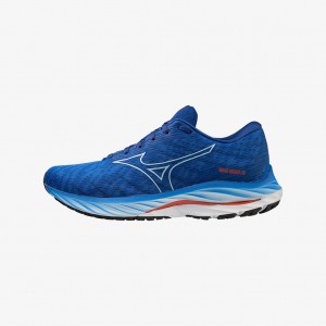 Mizuno WAVE RIDER 26 WIDE Blu | IT_MZN38989